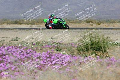 media/Feb-04-2023-SoCal Trackdays (Sat) [[8a776bf2c3]]/Turn 15 Inside Blooming (1050am)/